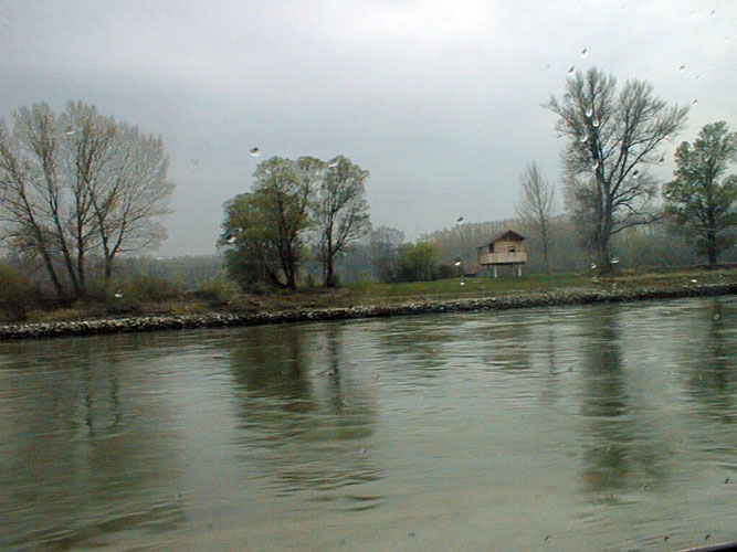 Along the Danube